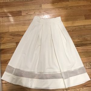 Long skirt with sheer line in the middle